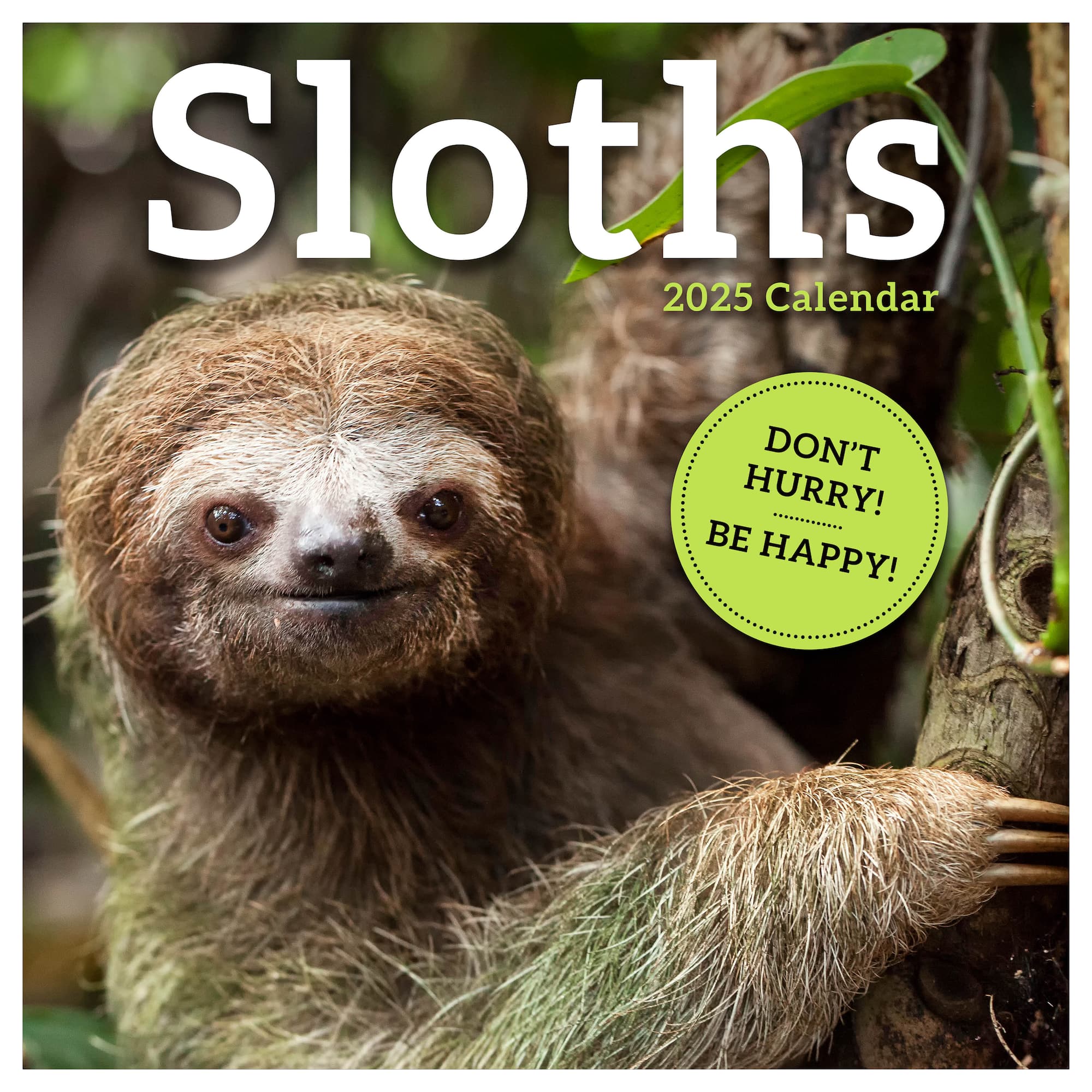 TF Publishing 2025 Sloths Wall Calendar